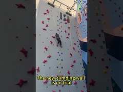 L'automobile d'intérieur standard de panneau de mur de vitesse d'escalade assiègent imperméable