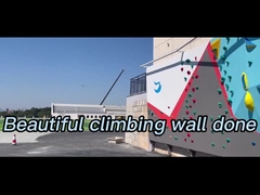 Poignées s'élevantes d'escalade de Bouldering de gymnase de volume d'intérieur pour le mur